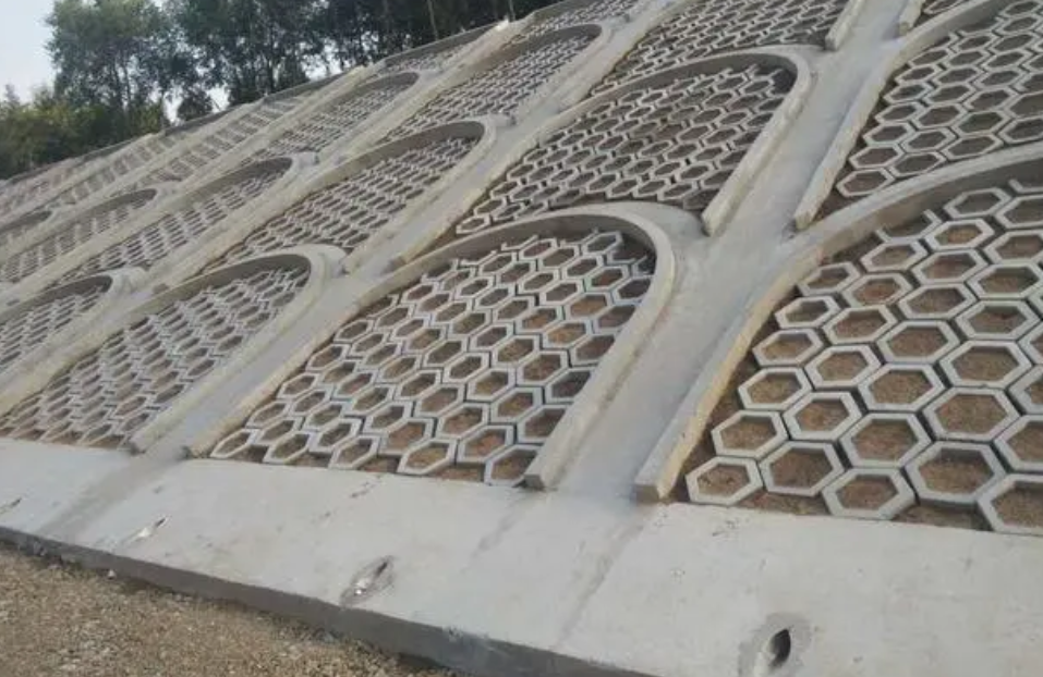 1691390380177315.png ce5c685ffd9c5fcae23e9a9fad753ee.png